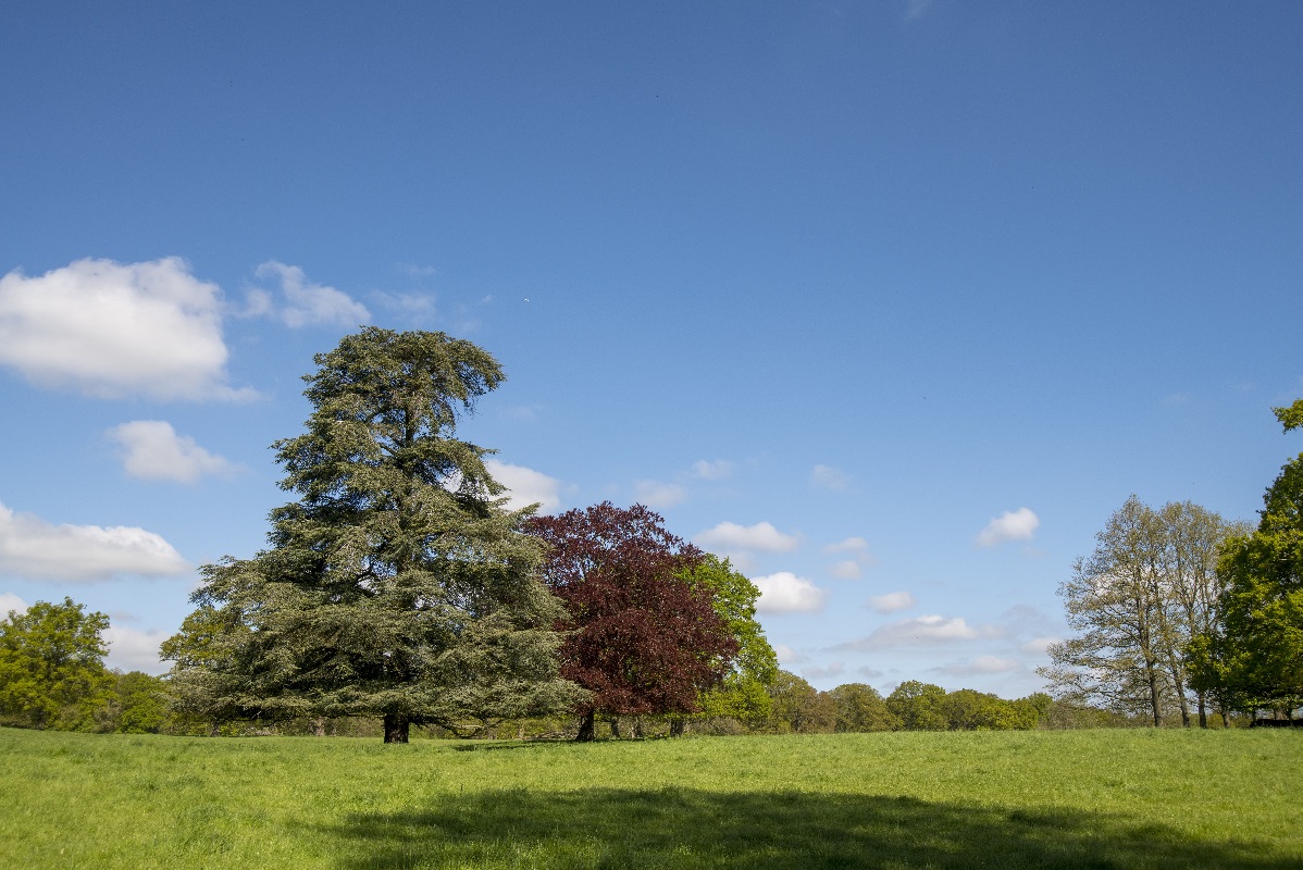 Sherfield on Loddon